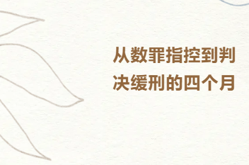 律闻 丨从数罪指控到判决缓刑的四个月